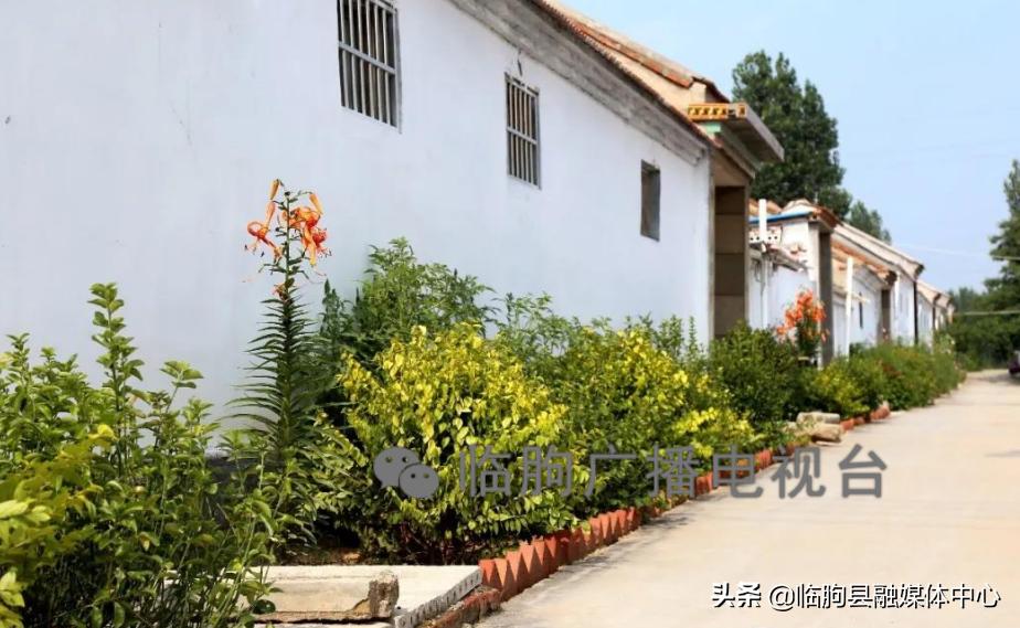 “绿满城乡·秀美临朐”系列报道（八）蒋峪镇篇：勇立潮头迎风起水墨蒋峪谱新篇