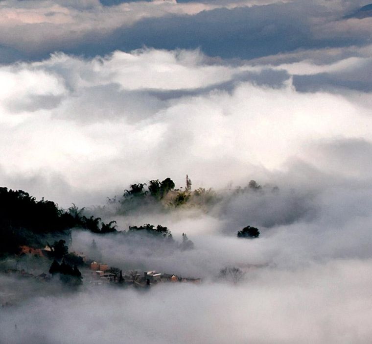 花香弥漫，云海林涛，这个小众景点真的美到让人窒息