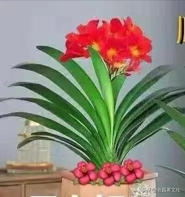 农谚：“一代亲二代表三代嘴邈邈”是什么意思？