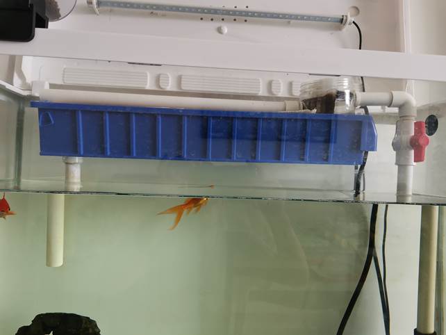 家庭自制鱼缸过滤器,自制鱼缸过滤器虹吸