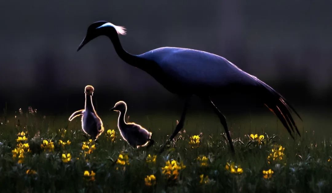 香港第14届全国摄影艺术展,第29届全国摄影艺术展览获奖名单