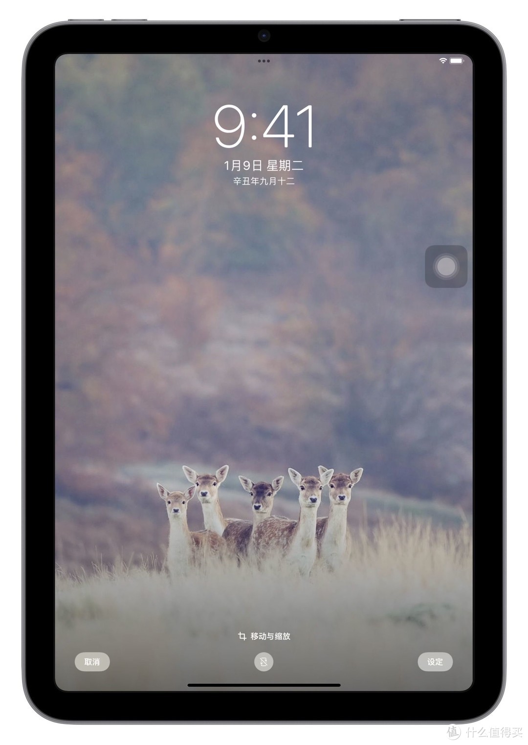 终于等到你还好我没放弃视频横屏,终于等到你还好我没放弃锁屏