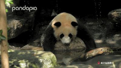 鍥藉疂缇庣櫧,鍥藉疂鐢ㄧ殑缇庣櫧闈㈣啘