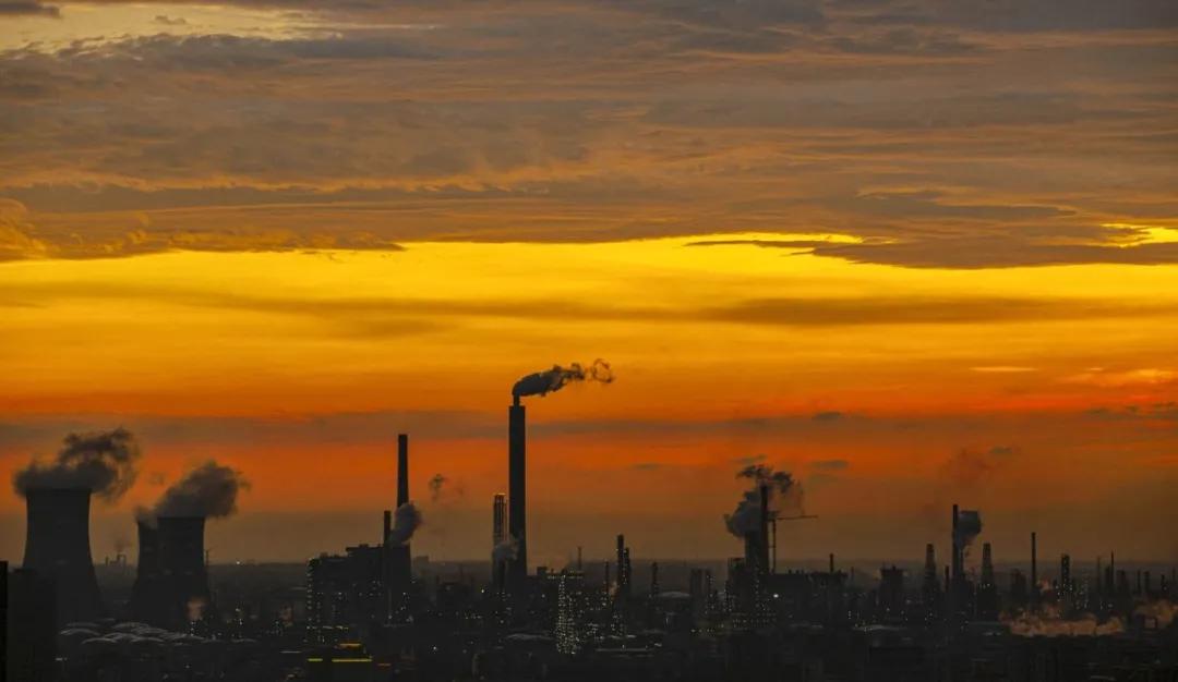 「第1期」2020年大美社群优秀作品回顾