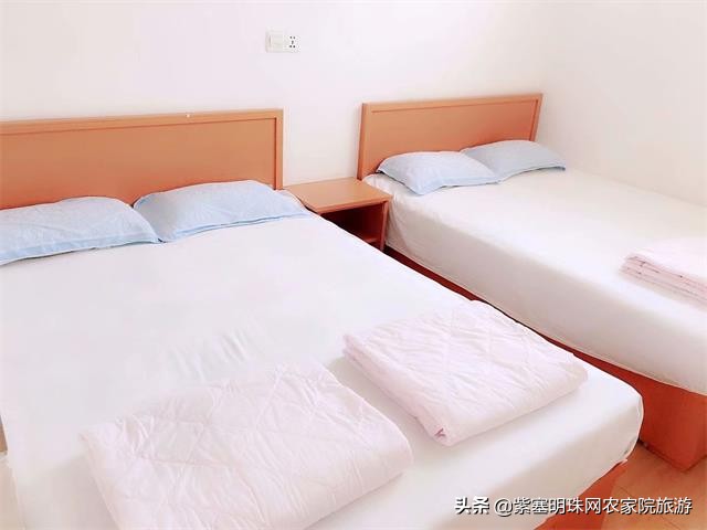 日照直播,日照索隆