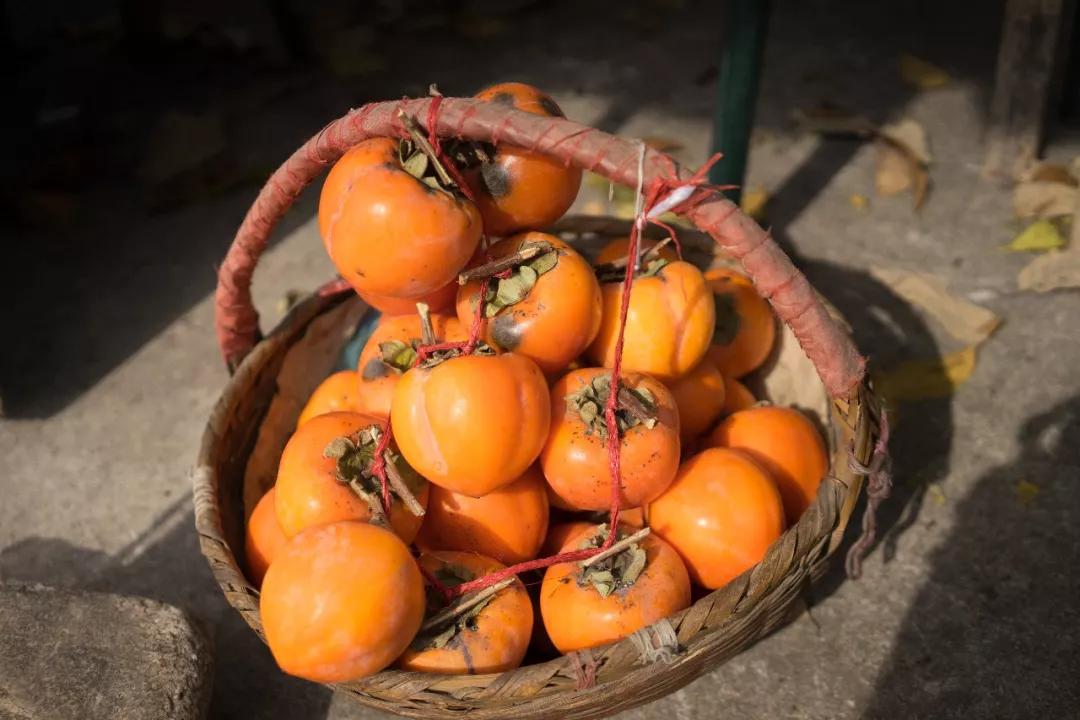 自然风干柿子,柿子风干的方法