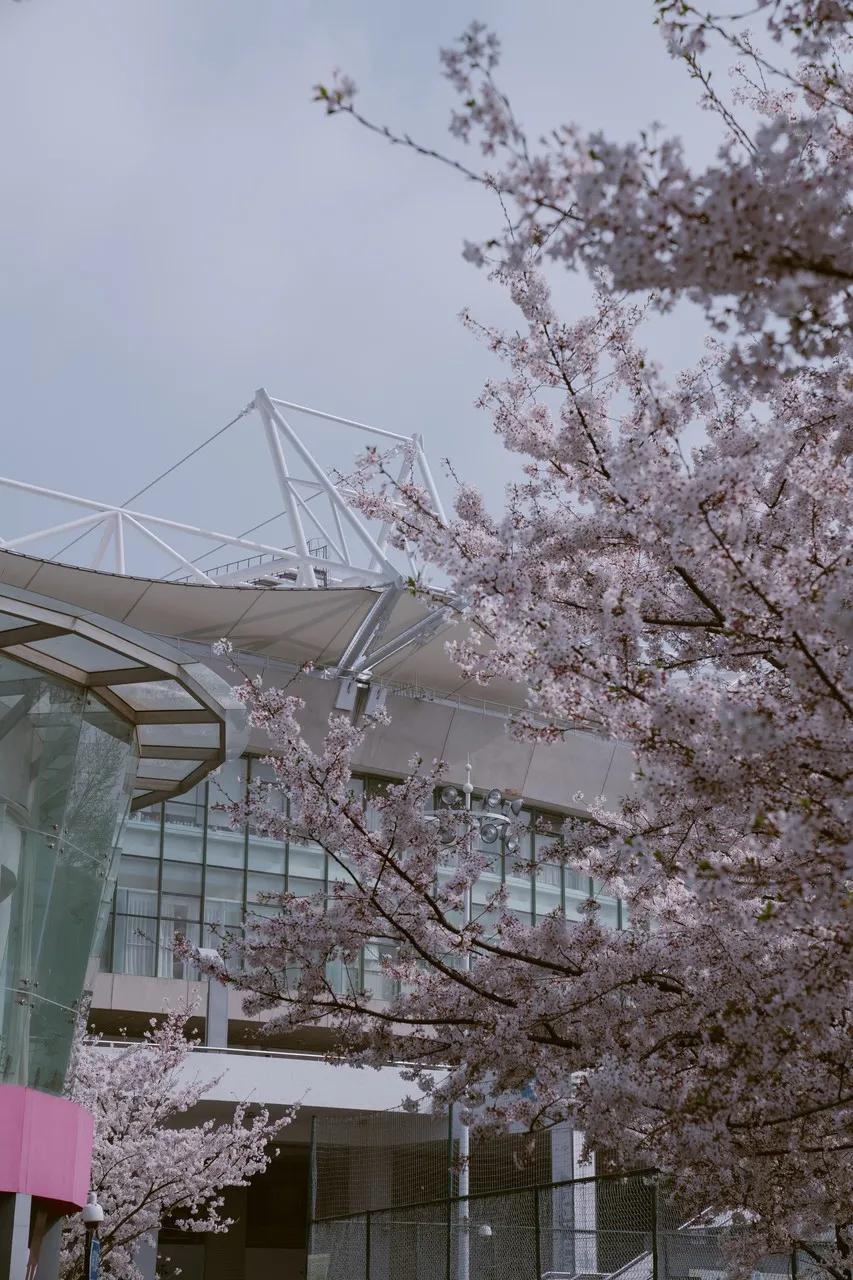 我不许你只是路过上海虹口