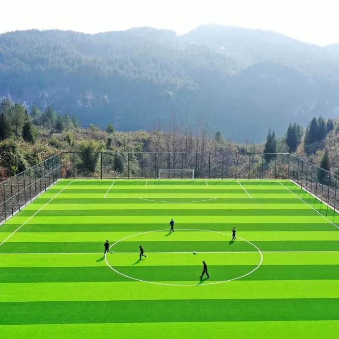 重庆修建足球场,重庆新修足球场