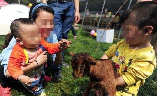 宝宝“黑指甲”,兽医妈妈治疗后无效,医生你家搞过卫生吗