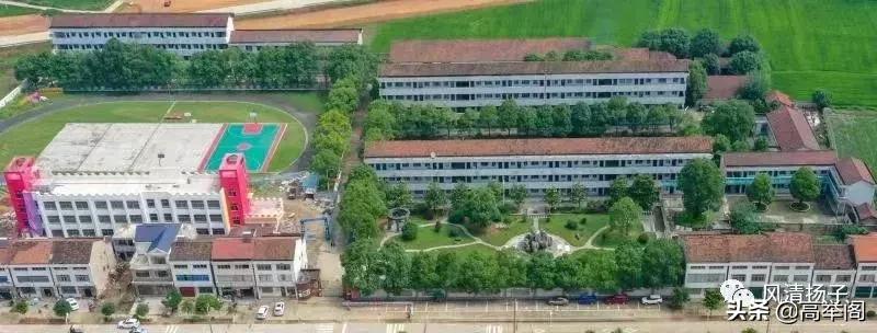 系列散文——李淑孟：我们的学校是花园（之二十）