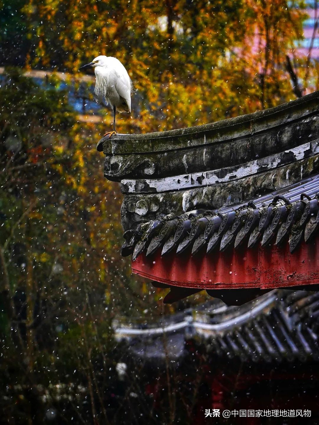 成都是一个安逸的地方吗,成都是个挺安逸的城市