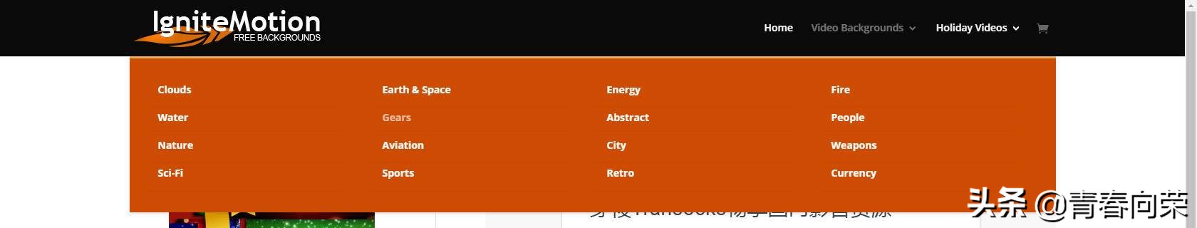 无版权,全免费！10个视频素材网站私藏汇总,助你快速晋升vlog达人