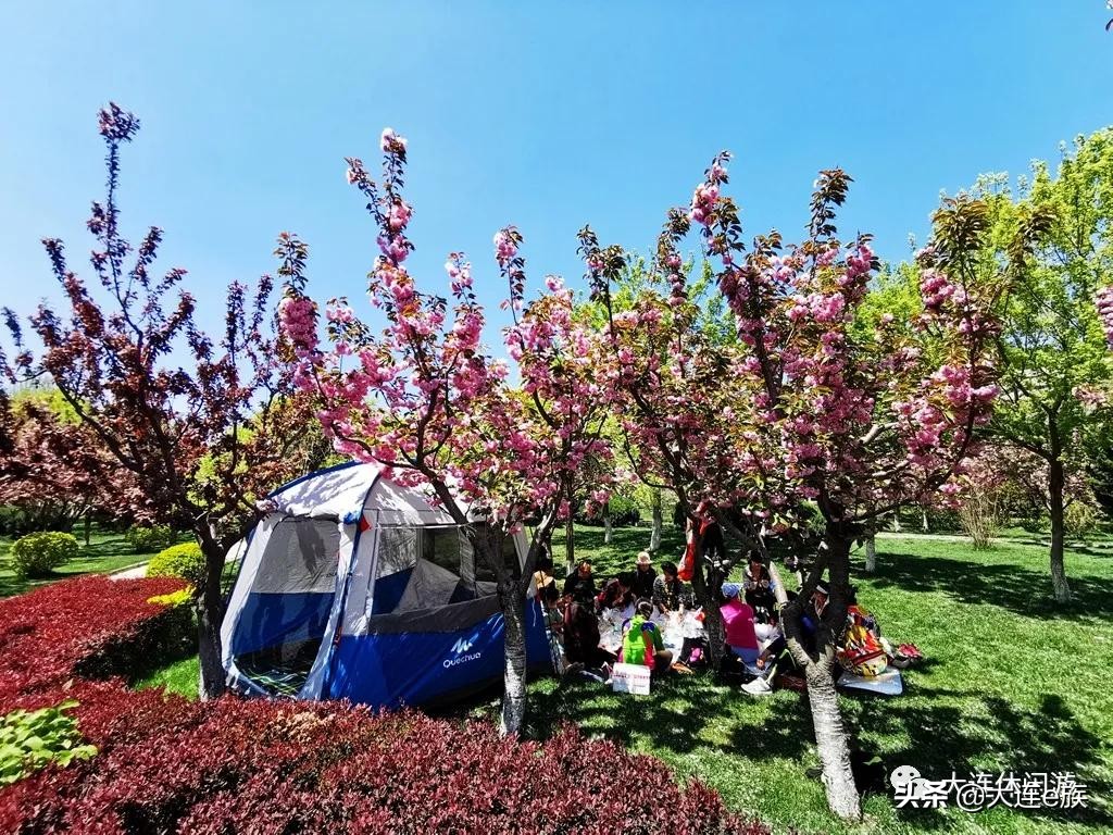 大连五一野餐攻略,大连野餐排名一览表