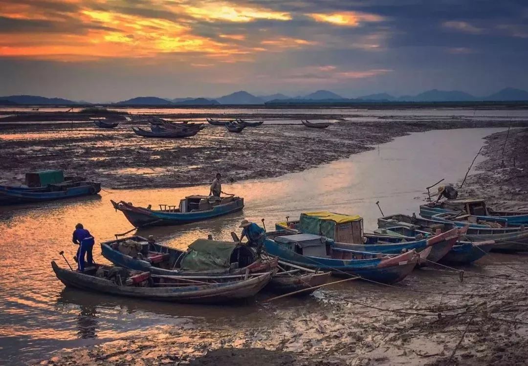 什么是台州畅行码,什么是台州