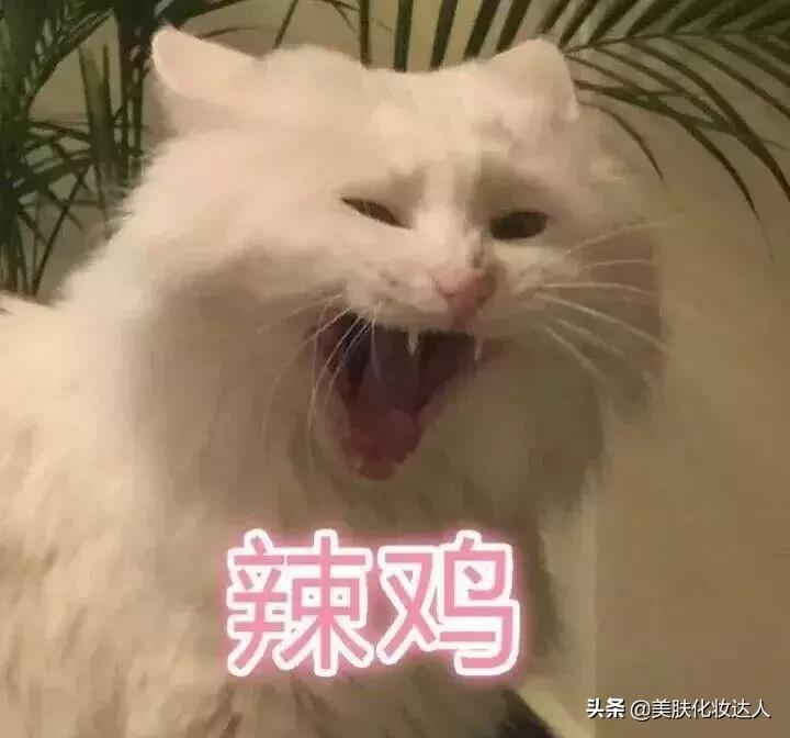 新品网红明星同款,明星同款网红款