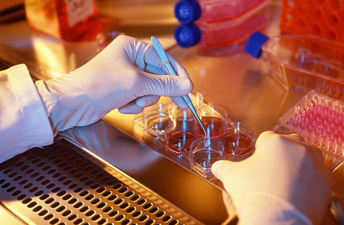 试管婴儿几个卵泡正常,试管婴儿有几个卵泡怎么查