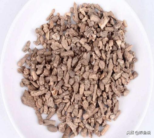 如何使用小苏打调节鱼缸酸碱度,调节鱼缸酸碱度的树叶