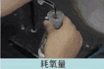 羽绒服测评好物推荐,便宜又好穿的羽绒服测评