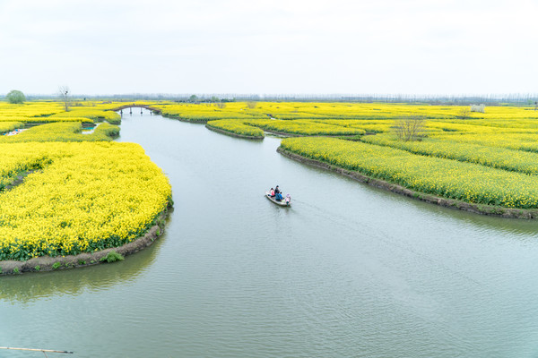 踏春赏花正当时，打卡千垛水上油菜花！玩转兴化景点美食全攻略