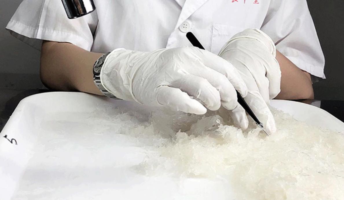 溯源码燕盏炖煮好的样子,溯源码燕盏