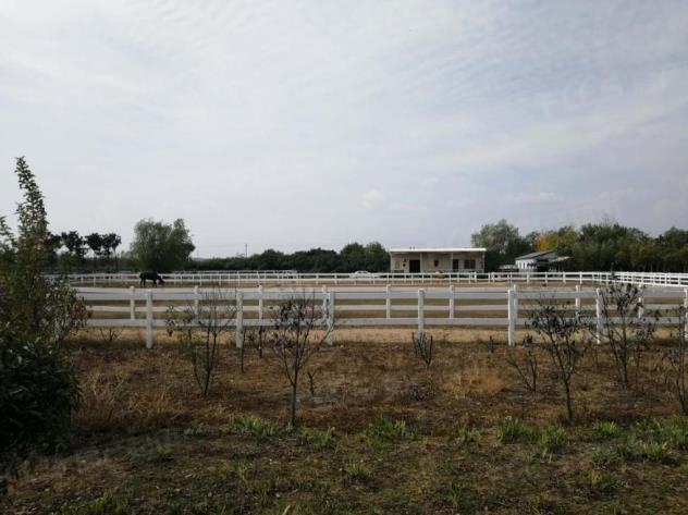 鍚戝線涔嬪,鍚戝線涔嬪瑁呴グ