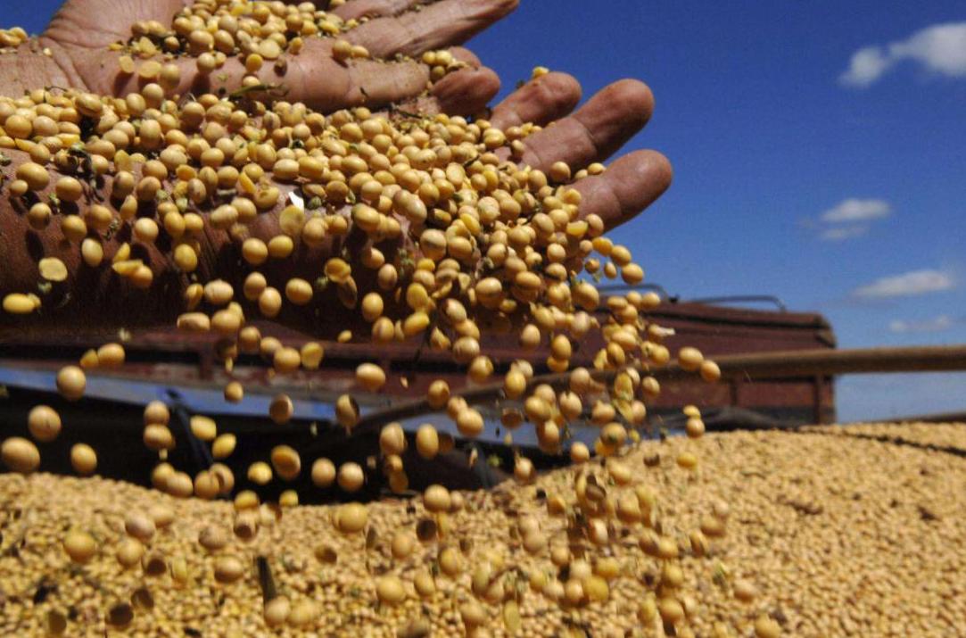 为何中国和印度人口如此多,为什么同样人口大国印度消费低