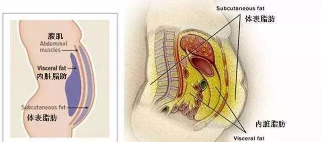 瘦人糖尿病吃什么降糖药,瘦人糖尿病应该吃多少饭