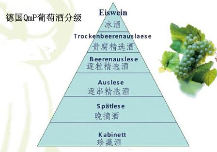 葡萄酒分级aop和aoc的区别,欧盟葡萄酒分级制度第一级别