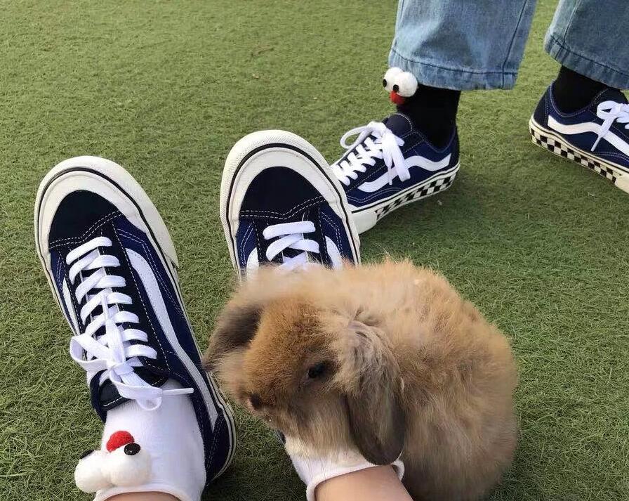 vans十大经典永不过时,vans十大经典款排名