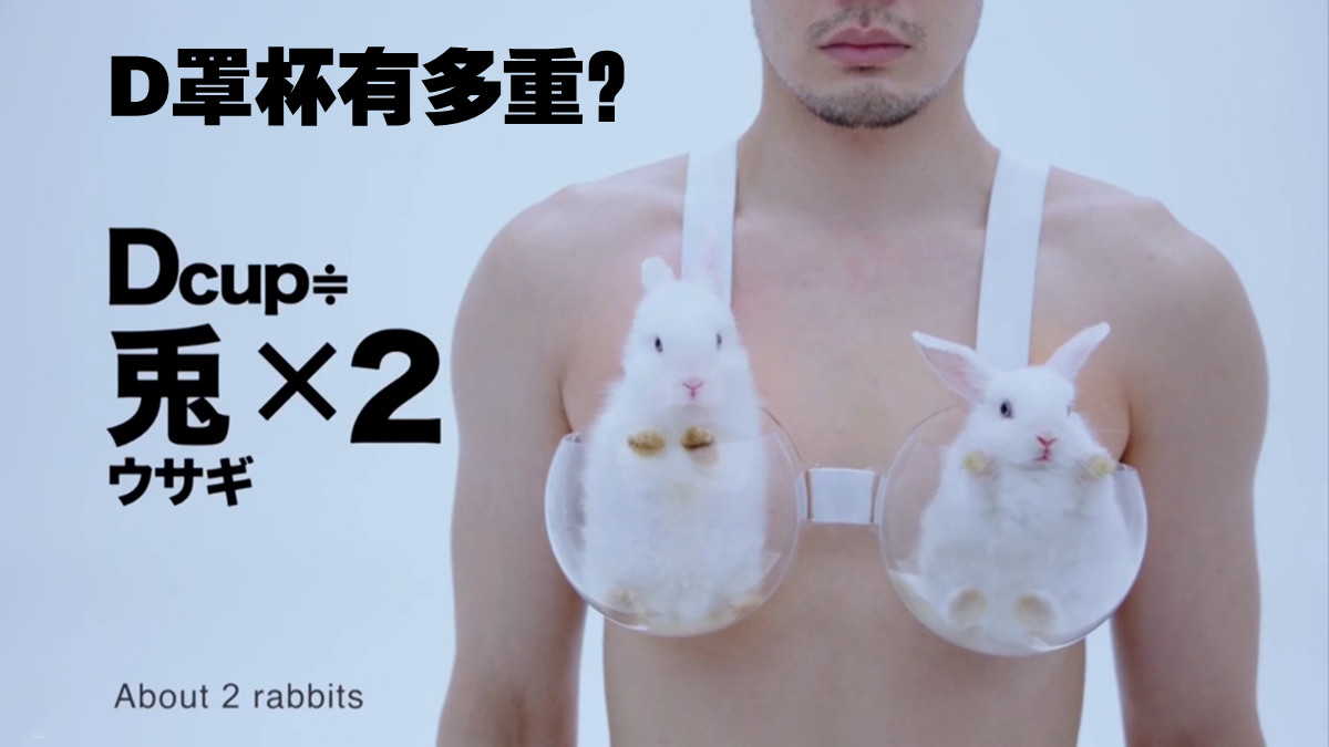 ppt汇报图表制作,ppt汇报数据分析图表