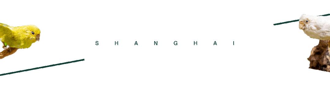 时髦精都在逛的hAomArket好市，一站式承包你的冬日小众好物