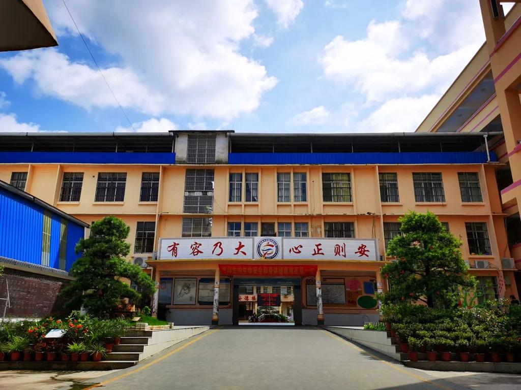 宁强县大安镇中心小学,大安镇中小学校
