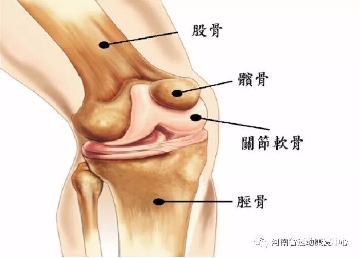 膝关节常见运动损伤及症状,什么样的运动不损伤膝关节