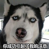 怎样用简单的工具做电子相册,不需要第三方软件就能开启高画质