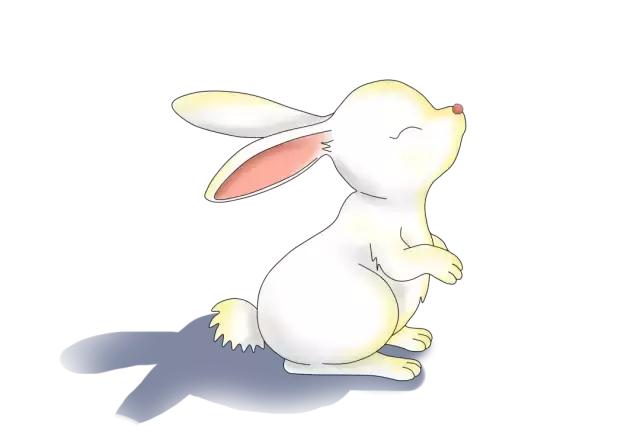 沙家浜丨珍·月礼盒，开启中秋美好体验