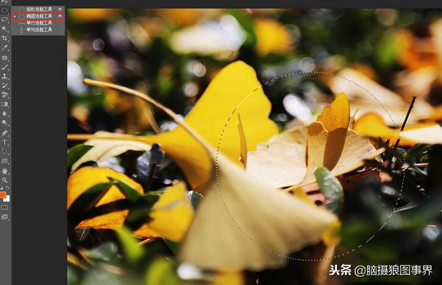 ps中的四类蒙版怎样应用,photoshop中如何添加蒙版