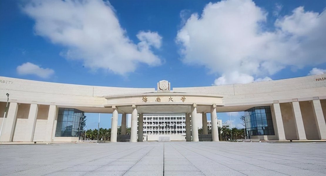 海南2020年面向高校定向选调,海南省2024定向选调公告