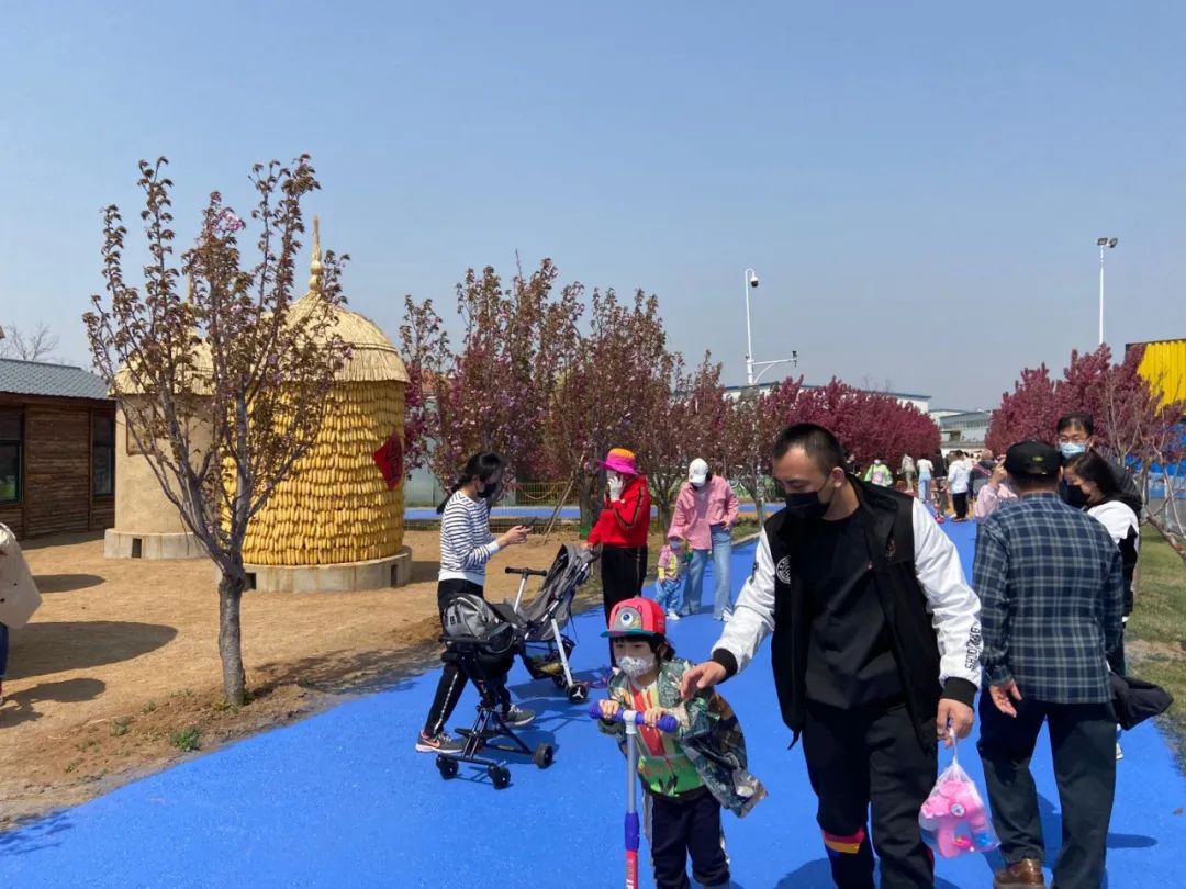 疫情防控不松懈畜牧生产不断档,疫情防控不放松群众生活秩序井然