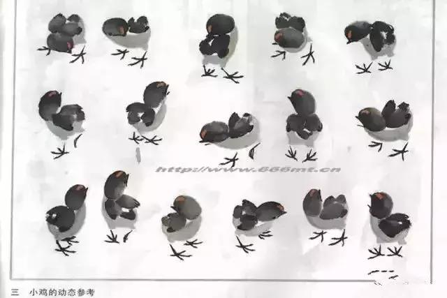 写意花鸟配景石的画法,干货写意花鸟类的画法