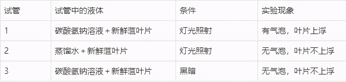 七上生物绿色植物的呼吸作用复习,高一生物必修一呼吸作用习题讲解