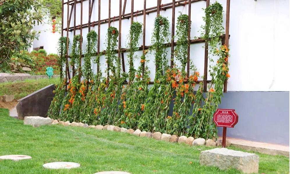 【谁不说咱家乡美】美丽中国，“乡”约万安（河西片）