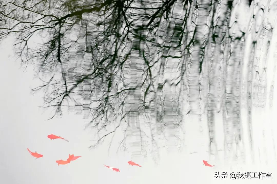 第16届国际摄影艺术展获奖作品,第29届全国摄影艺术展览作品集