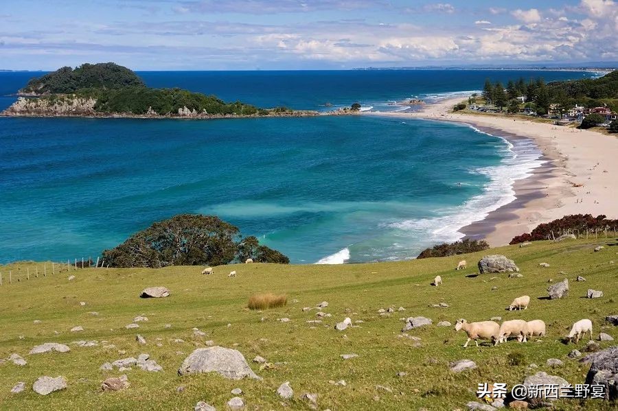 新西兰南半球最高多少米,新西兰的自由与浪漫