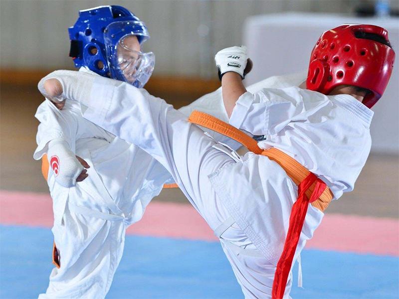 中国好的空手道训练机构,空手道培训学校好做吗