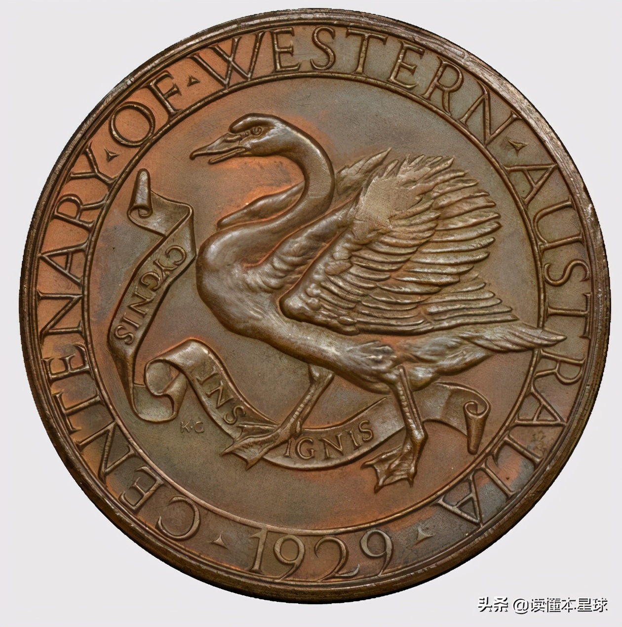 澳洲铁矿石在哪个地区,澳大利亚铁矿为什么多