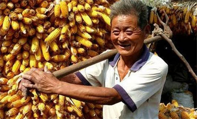 银行运钞员视频,银行运钞员是什么条件