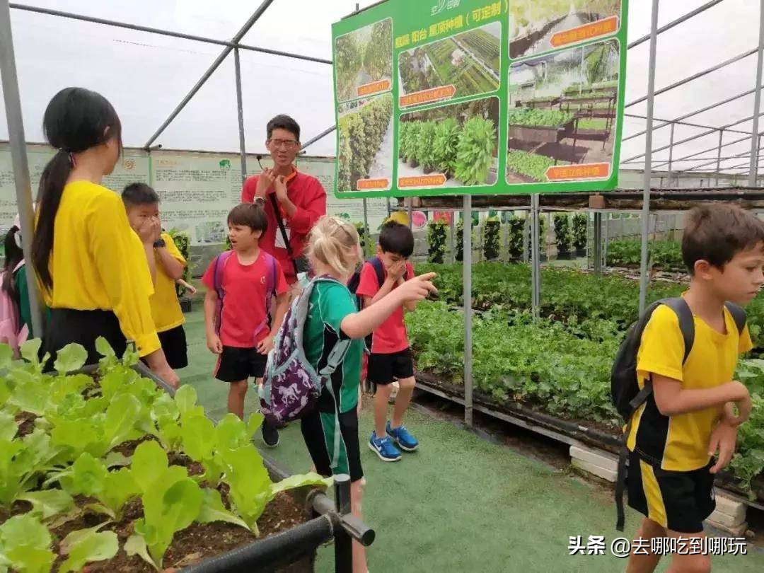 69.9抢惠州罗浮山漂流门票89元抢漂流门票+空中田园