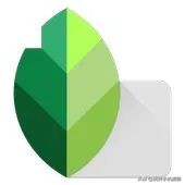 snapseed和美图秀秀,snapseed照片美颜