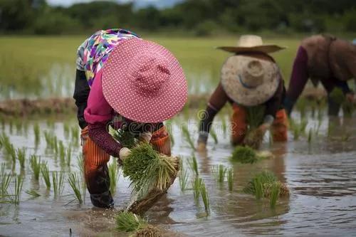 八零后农村姑娘在外地,80后农村姑娘远嫁