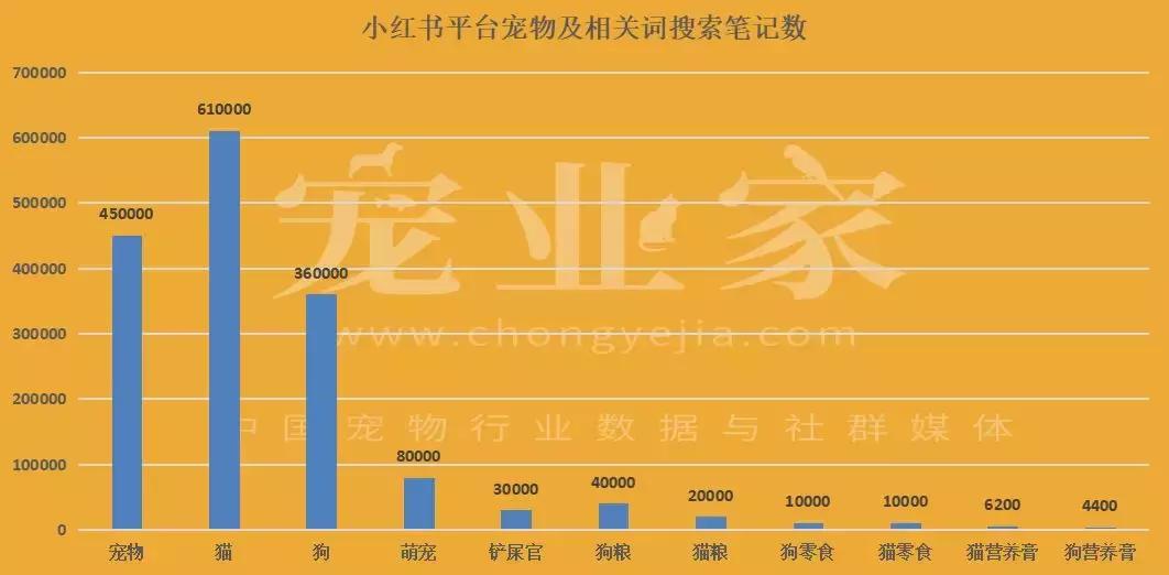 小红书种草博主,小红书宠物博主